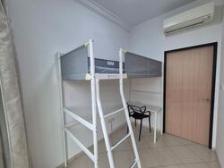 The Sunny Spring (D14), Apartment #483374901
